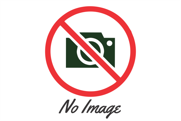 No images